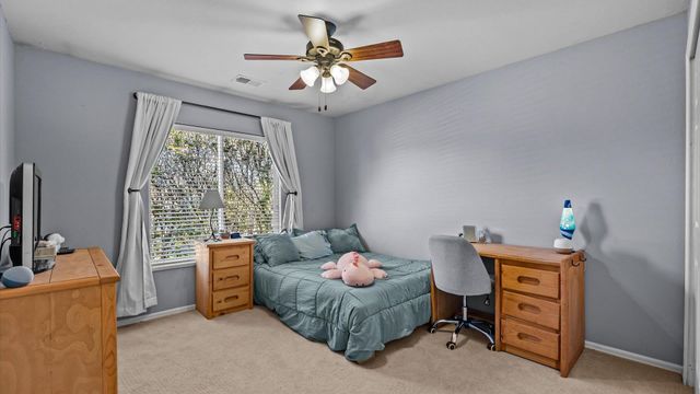 668 Silver Plume Drive, Fruita, CO 81521