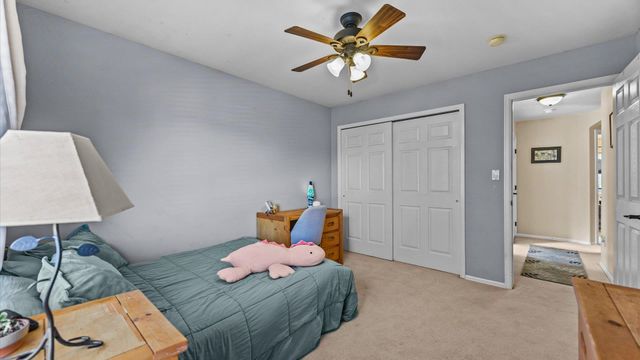 668 Silver Plume Drive, Fruita, CO 81521