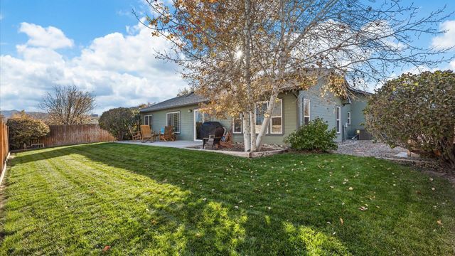 668 Silver Plume Drive, Fruita, CO 81521