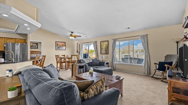 668 Silver Plume Drive, Fruita, CO 81521