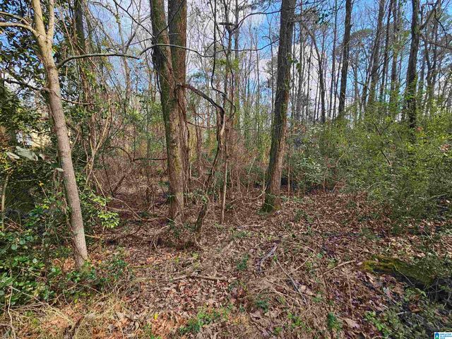 0 MOSS HILL LANE, Pell City, AL 35128