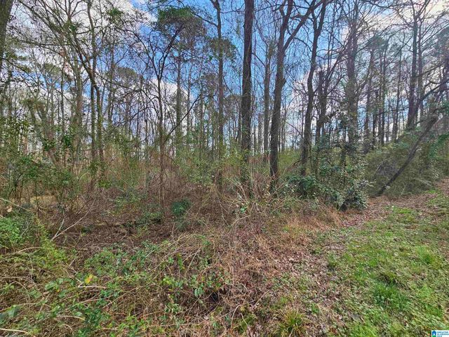 0 MOSS HILL LANE, Pell City, AL 35128