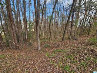 0 MOSS HILL LANE, Pell City, AL 35128