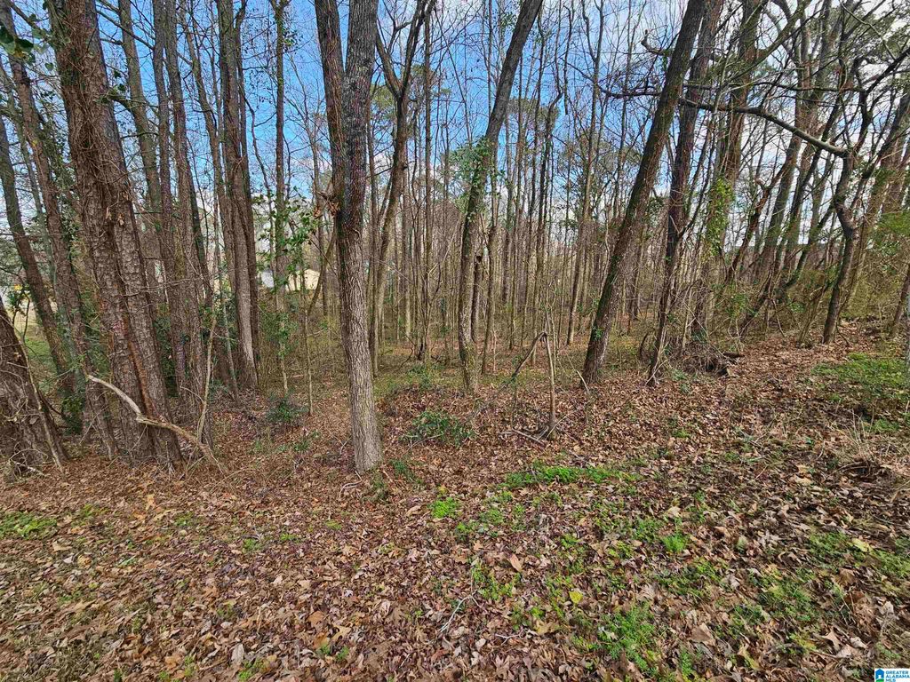 0 MOSS HILL LANE, Pell City, AL 35128