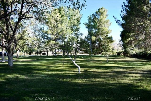 10831 Monte Vista, Phelan, CA 92371