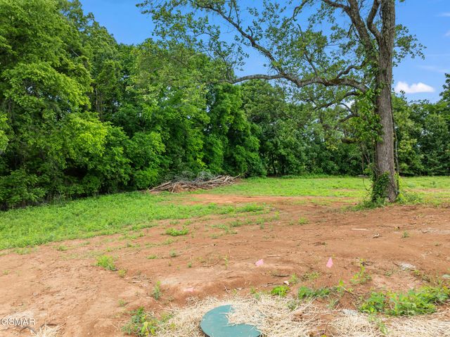 2102 Kings View Loop, Seymour, TN 37865
