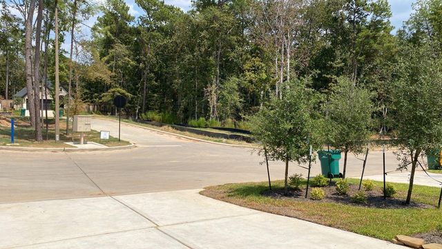 169 Hidden Peak Drive, Montgomery, TX 77316