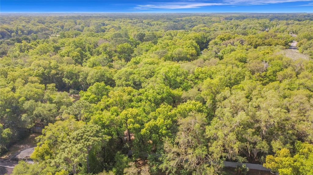 Image 35 of property listing at 31427 GHENT AVENUE, Mount Plymouth, FL 32776