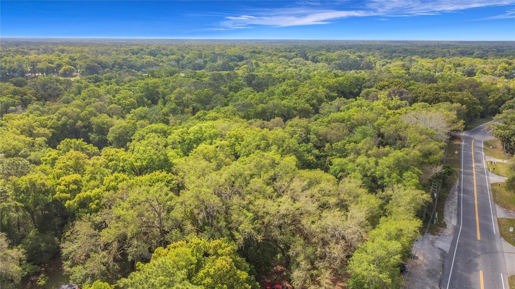 Image 36 of property listing at 31427 GHENT AVENUE, Mount Plymouth, FL 32776