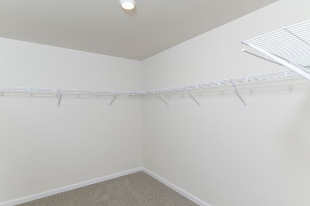 2360 Daylilly Street, Sumter, SC 29153