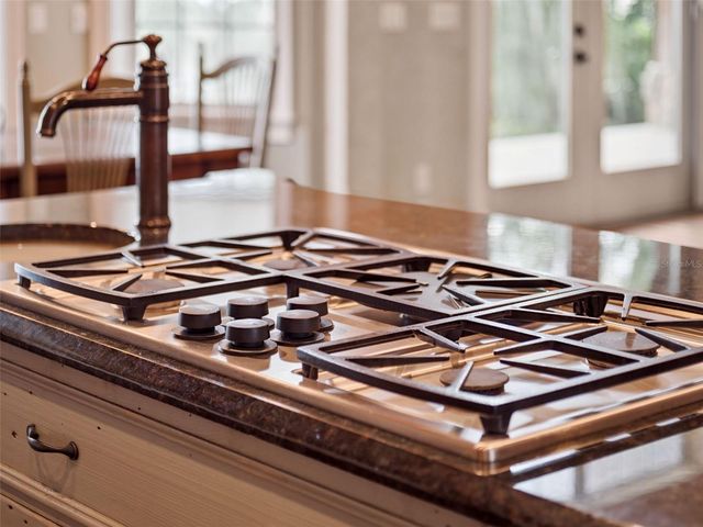 1490 LAKESHORE DRIVE, Mount Dora, FL 32757