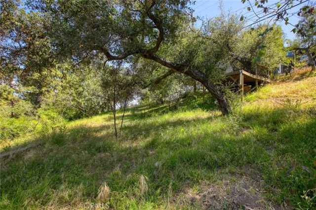 6937 Woodrow Wilson, Los Angeles, CA 90068
