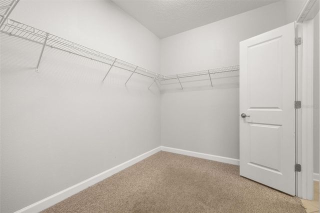 14157 GOLD BRIDGE DRIVE, Orlando, FL 32824