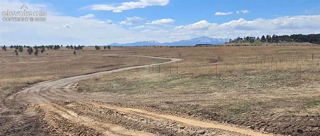 19235 Mariah Trail, Colorado Springs, CO 80908 — photo 3