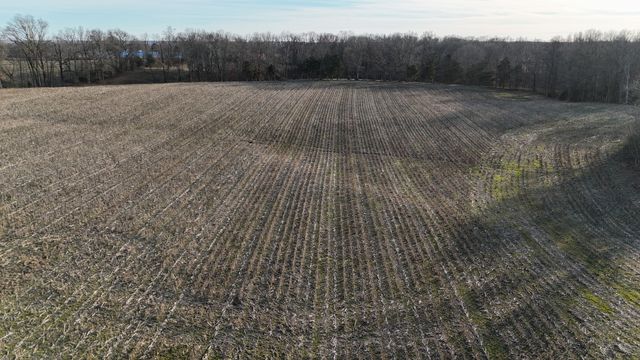 0 Highway 79, Mc Kenzie, TN 38201