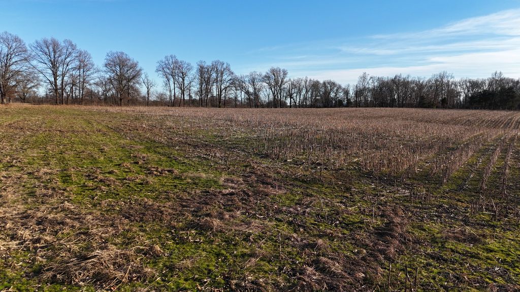 0 Highway 79, Mc Kenzie, TN 38201