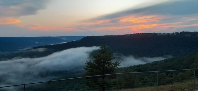 190 Gray Fox Court, Jasper, TN 37347