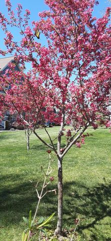 190 Gray Fox Court, Jasper, TN 37347