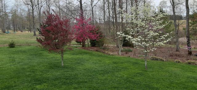 190 Gray Fox Court, Jasper, TN 37347