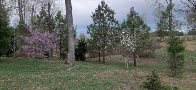 190 Gray Fox Court, Jasper, TN 37347