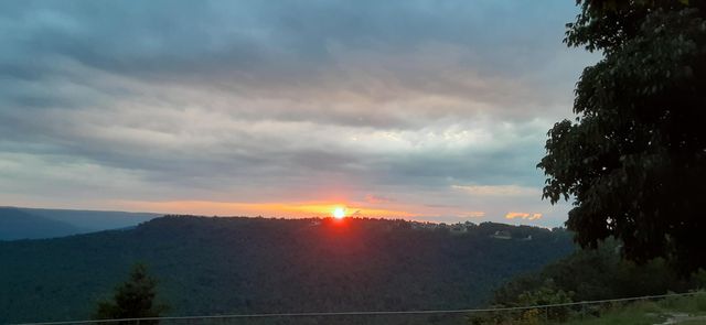 190 Gray Fox Court, Jasper, TN 37347