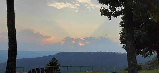 190 Gray Fox Court, Jasper, TN 37347
