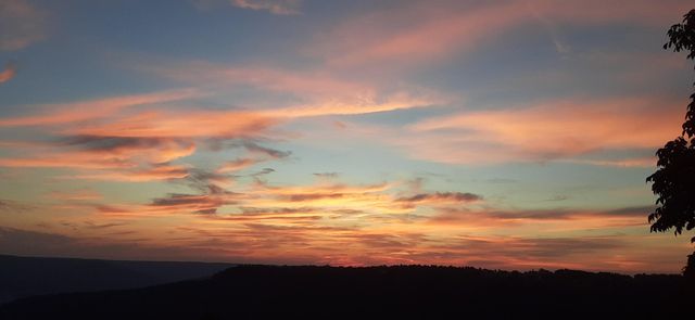 190 Gray Fox Court, Jasper, TN 37347