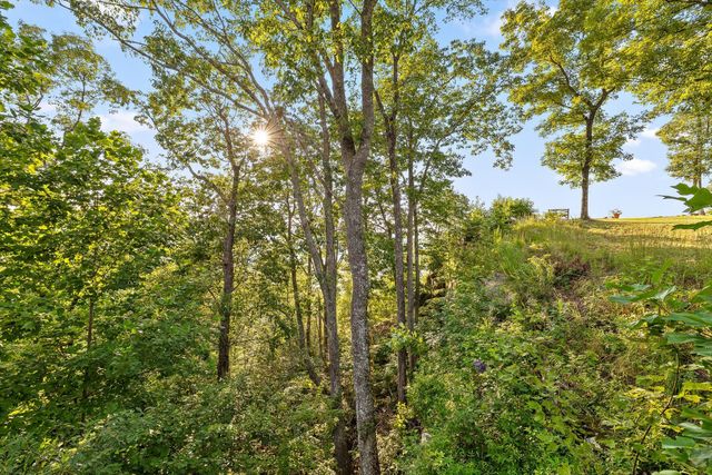 190 Gray Fox Court, Jasper, TN 37347