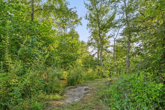 190 Gray Fox Court, Jasper, TN 37347