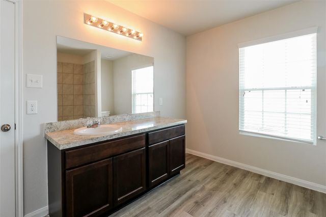 13806 Spring Meadows Court, Willis, TX 77378