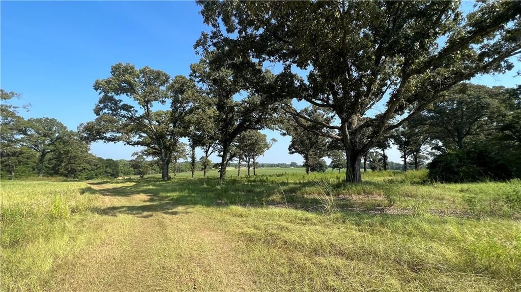0 Lott Road, Chunchula, AL 36521 — exterior