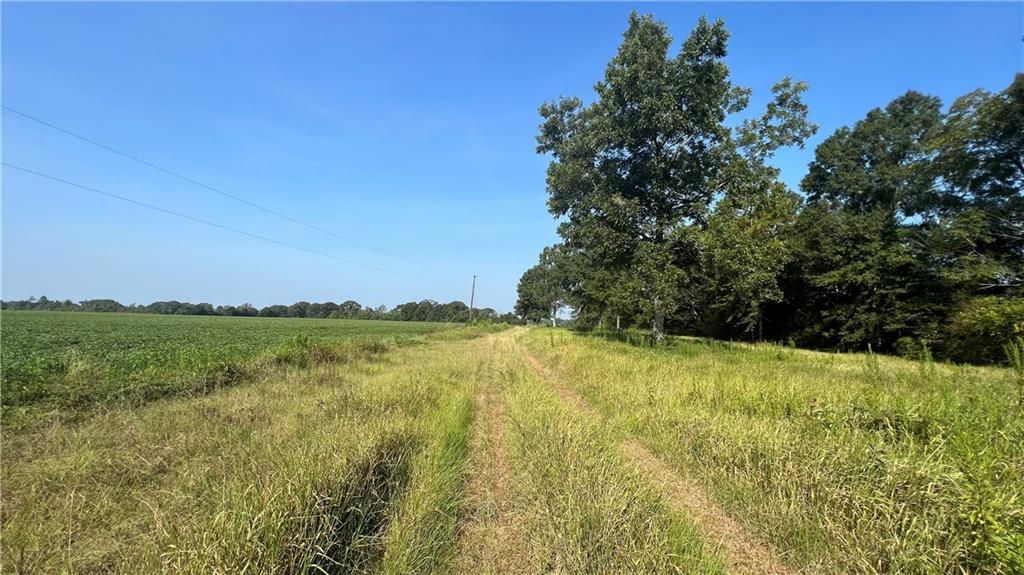 0 Lott Road, Chunchula, AL 36521 — photo 4