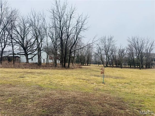 317 Braeburn, Hannibal, MO 63401