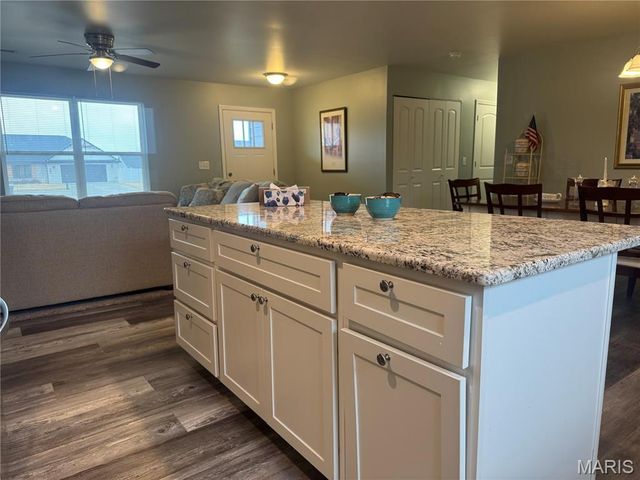 317 Braeburn, Hannibal, MO 63401