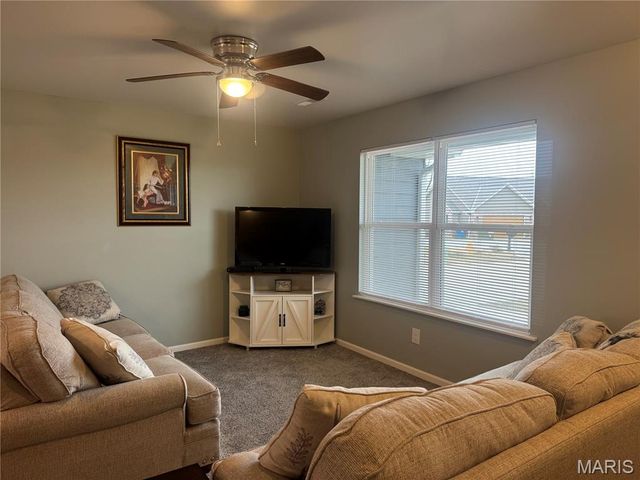 317 Braeburn, Hannibal, MO 63401