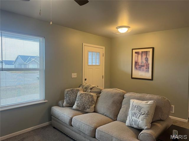 317 Braeburn, Hannibal, MO 63401