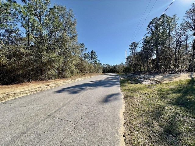 10150 N SABRE DRIVE, Citrus Springs, FL 34434