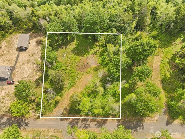 91 E Cascara Cove Lane, Shelton, WA 98584