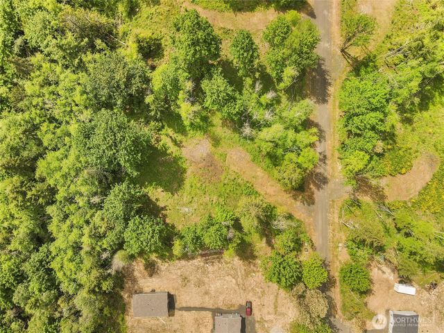 91 E Cascara Cove Lane, Shelton, WA 98584