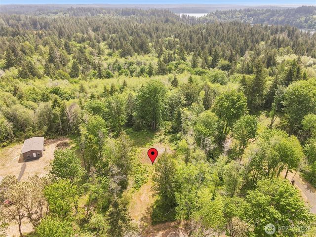 91 E Cascara Cove Lane, Shelton, WA 98584