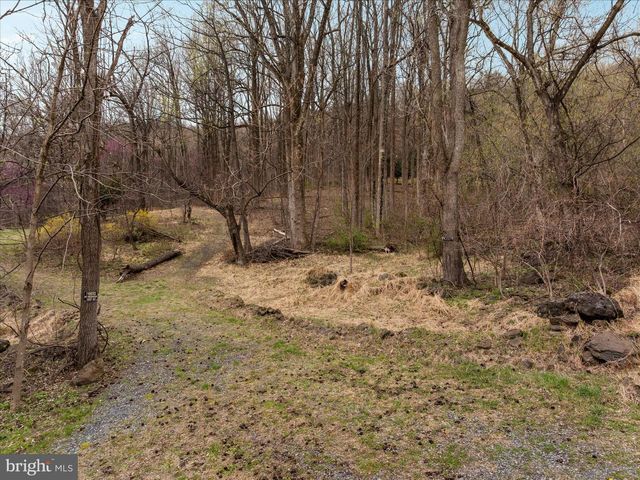 1005 HARMONY ORCHARD RD, Front Royal, VA 22630