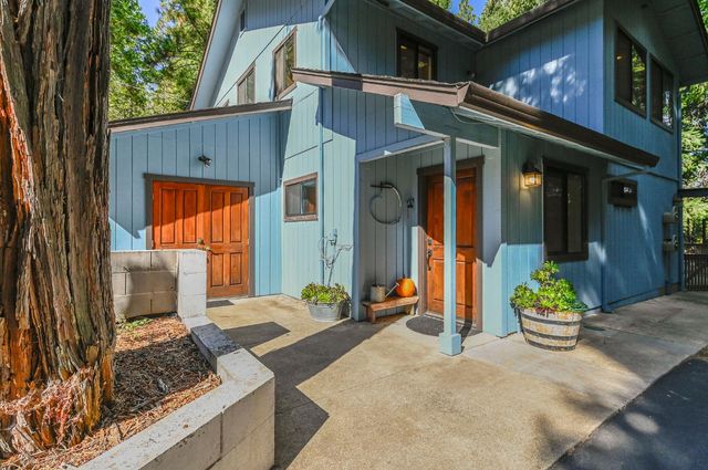 16910 Mckenzie Dr, Pioneer, CA 95666