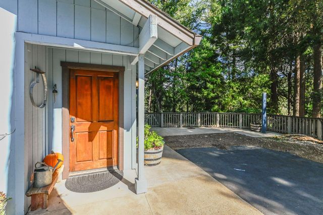 16910 Mckenzie Dr, Pioneer, CA 95666