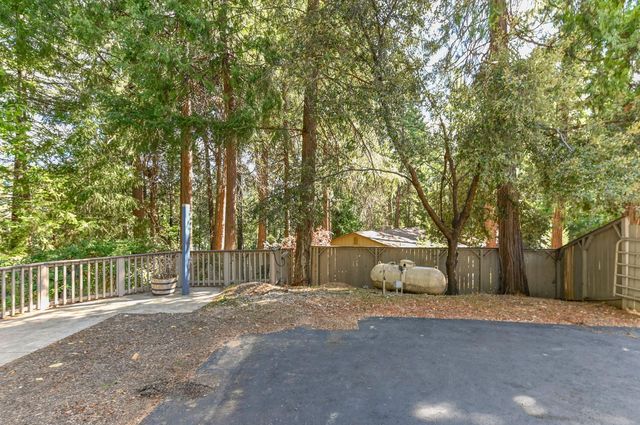 16910 Mckenzie Dr, Pioneer, CA 95666