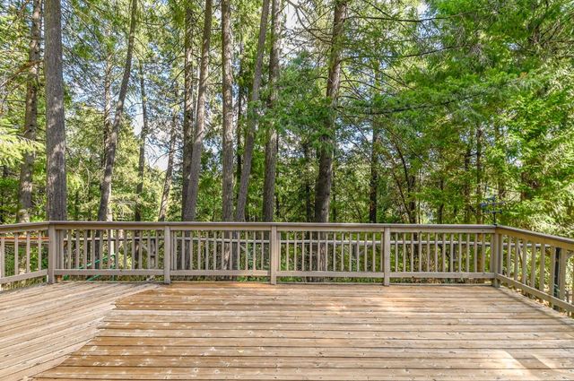 16910 Mckenzie Dr, Pioneer, CA 95666