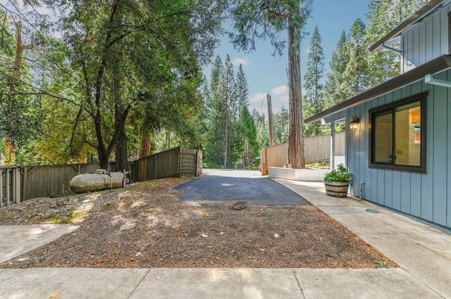 16910 Mckenzie Dr, Pioneer, CA 95666