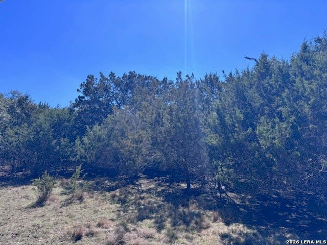 186 Lantana Vista, Spring Branch, TX 78070