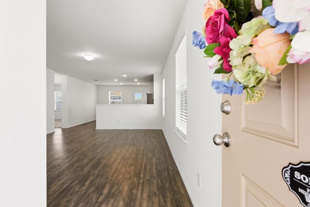 24019 Swather Way, Hockley, TX 77447