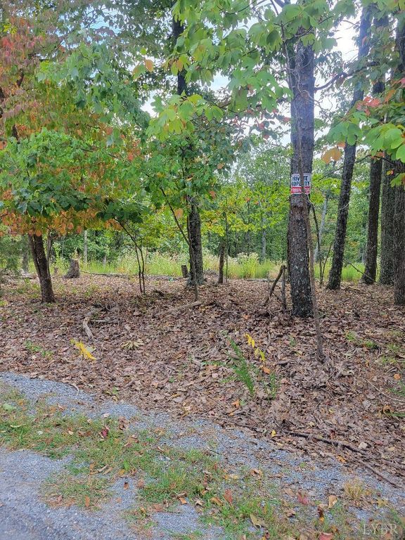 0 Nighthawk Road, Lynchburg, VA 24504