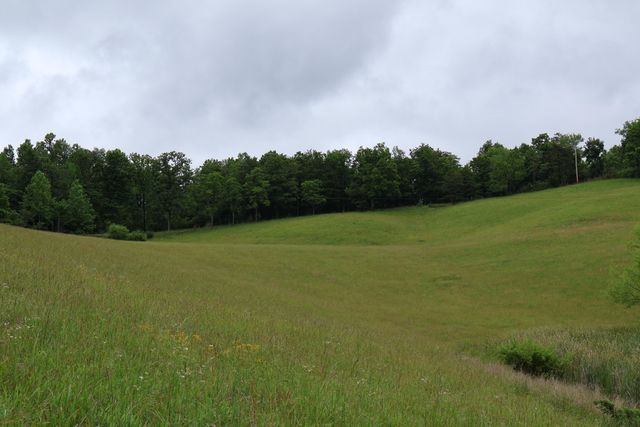4135 Big Andy Ridge Road Tract 1, Rogers, KY 41365